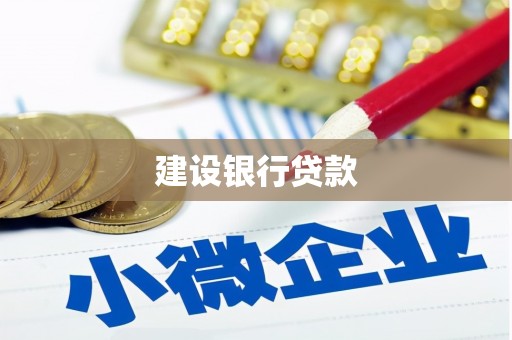 聂荣建设银行贷款
