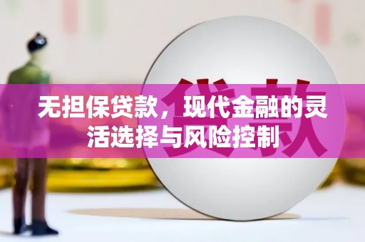 聂荣无担保贷款，现代金融的灵活选择与风险控制