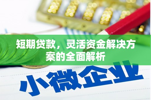 聂荣短期贷款，灵活资金解决方案的全面解析