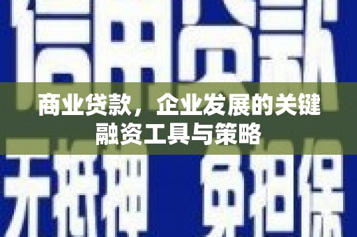 聂荣商业贷款，企业发展的关键融资工具与策略