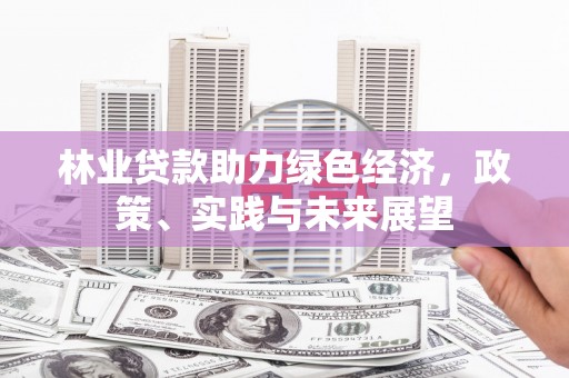 聂荣林业贷款助力绿色经济，政策、实践与未来展望
