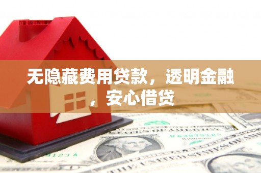 聂荣无隐藏费用贷款，透明金融，安心借贷