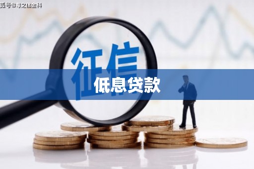 聂荣低息贷款