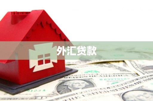 聂荣外汇贷款
