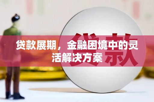 聂荣贷款展期，金融困境中的灵活解决方案