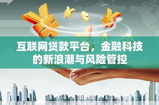 聂荣互联网贷款平台，金融科技的新浪潮与风险管控