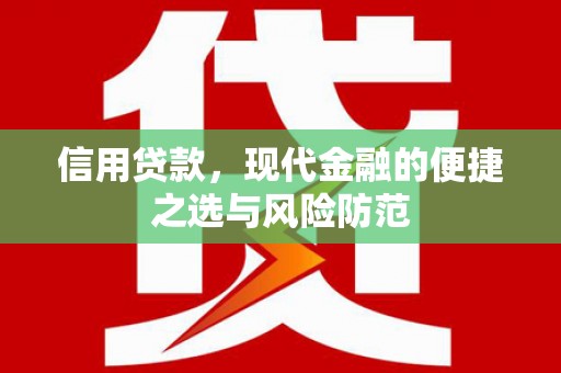 聂荣信用贷款，现代金融的便捷之选与风险防范