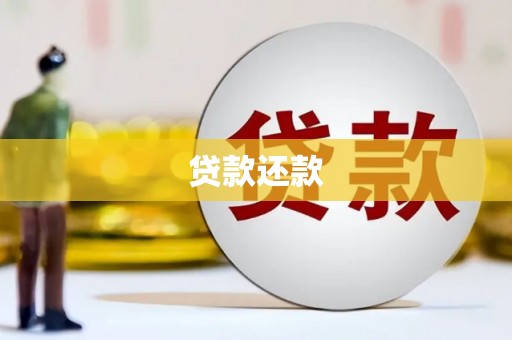 聂荣贷款还款