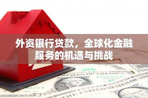聂荣外资银行贷款，全球化金融服务的机遇与挑战
