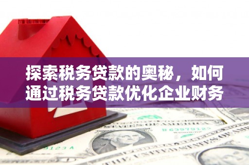 聂荣探索税务贷款的奥秘，如何通过税务贷款优化企业财务