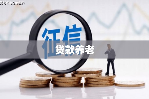聂荣贷款养老