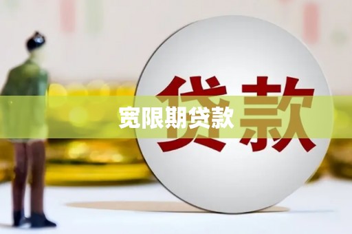 聂荣宽限期贷款