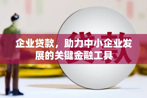 聂荣企业贷款，助力中小企业发展的关键金融工具