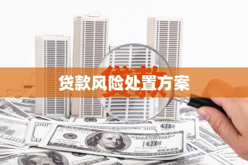 聂荣贷款风险处置方案