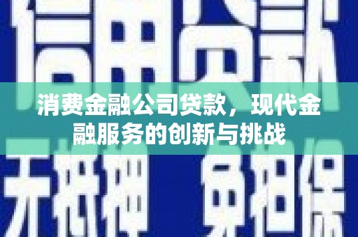 聂荣消费金融公司贷款，现代金融服务的创新与挑战