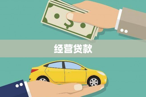 聂荣经营贷款