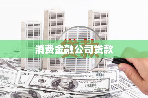聂荣消费金融公司贷款