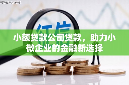 聂荣小额贷款公司贷款，助力小微企业的金融新选择
