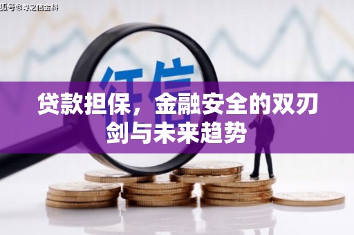 聂荣贷款担保，金融安全的双刃剑与未来趋势