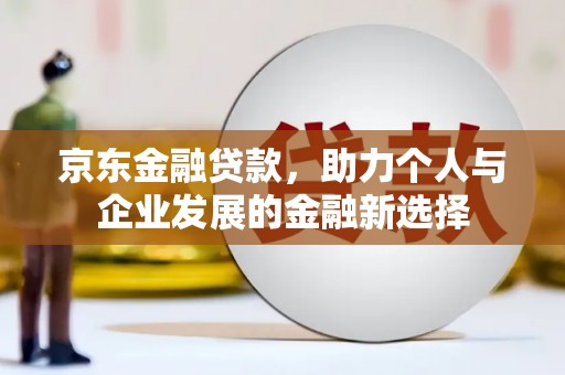 聂荣京东金融贷款，助力个人与企业发展的金融新选择
