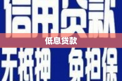 聂荣低息贷款