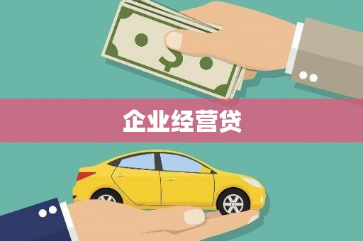 聂荣企业经营贷