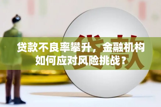聂荣贷款不良率攀升，金融机构如何应对风险挑战？