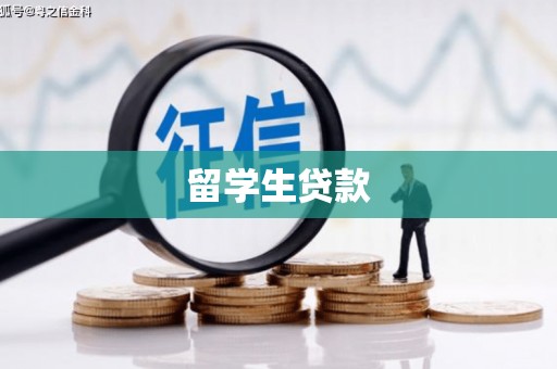 聂荣留学生贷款