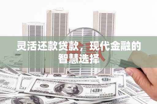 聂荣灵活还款贷款，现代金融的智慧选择
