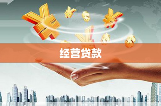 聂荣经营贷款