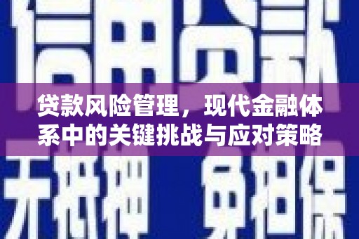 聂荣贷款风险管理，现代金融体系中的关键挑战与应对策略