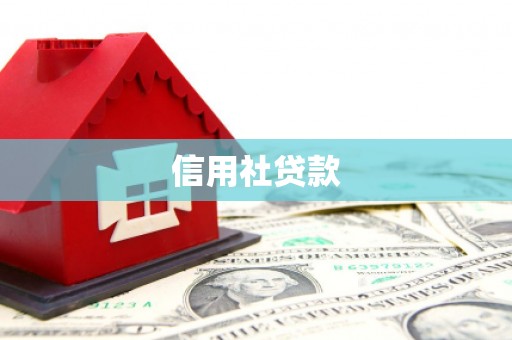 聂荣信用社贷款