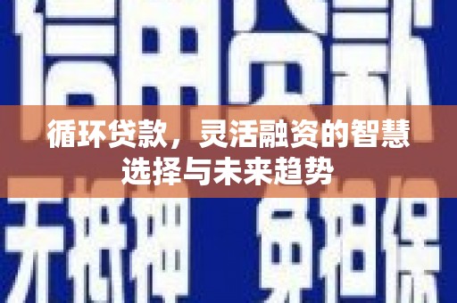 聂荣循环贷款，灵活融资的智慧选择与未来趋势