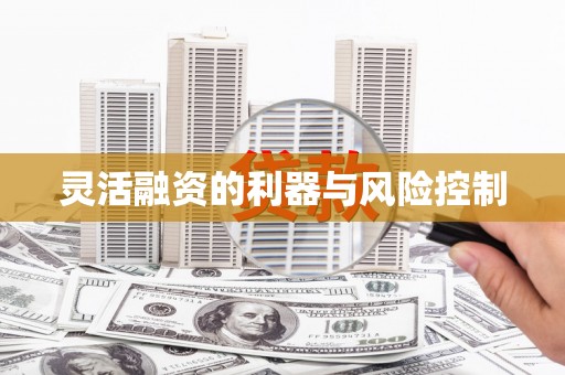 聂荣灵活融资的利器与风险控制