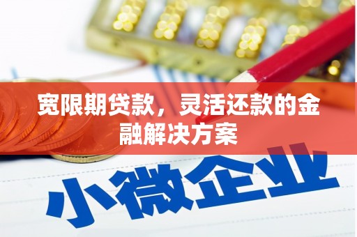 聂荣宽限期贷款，灵活还款的金融解决方案