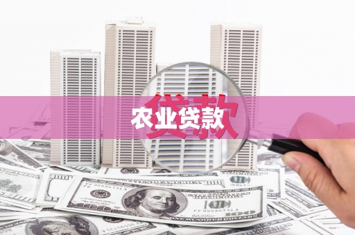 聂荣农业贷款