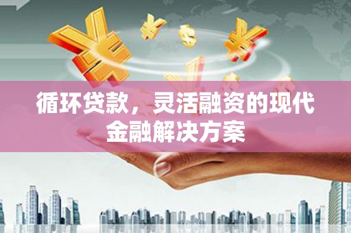 聂荣循环贷款，灵活融资的现代金融解决方案