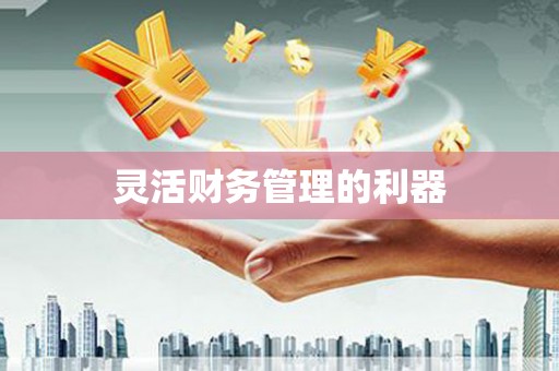 聂荣灵活财务管理的利器