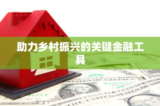 聂荣助力乡村振兴的关键金融工具
