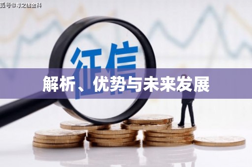聂荣解析、优势与未来发展