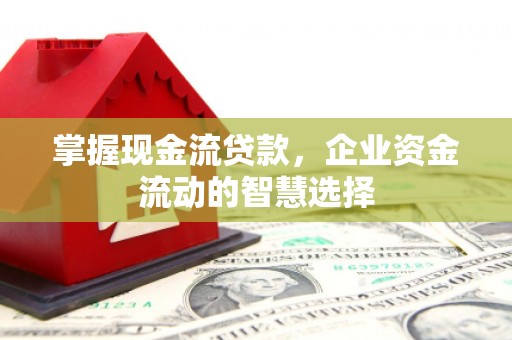 聂荣掌握现金流贷款，企业资金流动的智慧选择