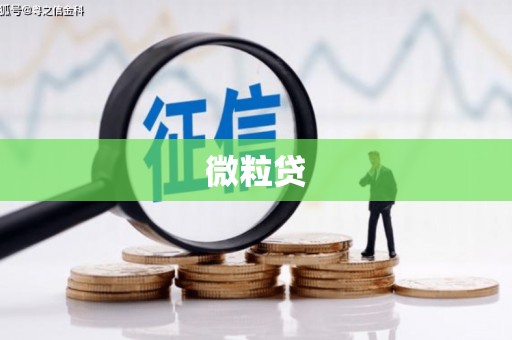 聂荣微粒贷