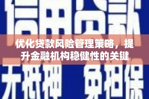 聂荣优化贷款风险管理策略，提升金融机构稳健性的关键
