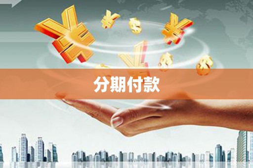 聂荣分期付款