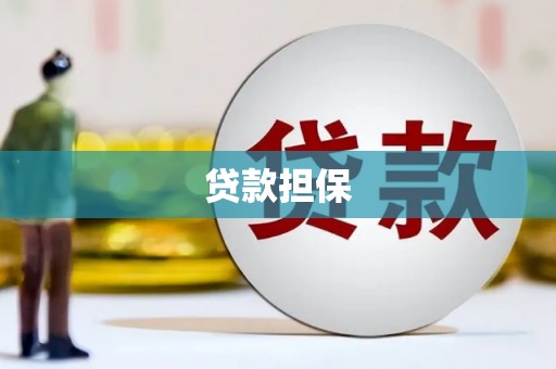 聂荣贷款担保