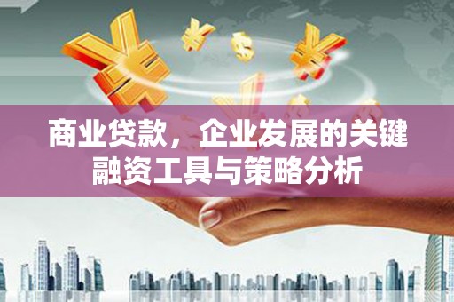 聂荣商业贷款，企业发展的关键融资工具与策略分析