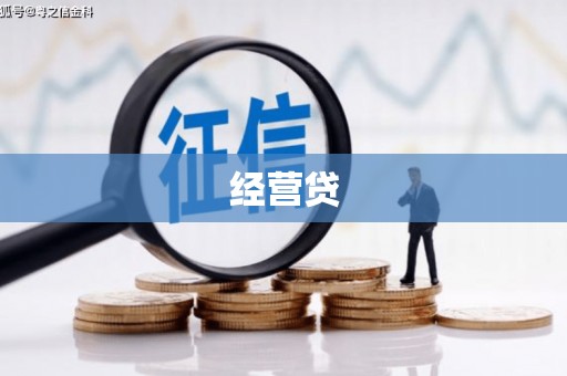 聂荣经营贷