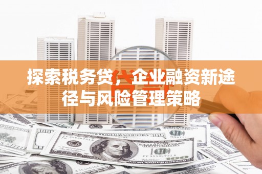 聂荣探索税务贷，企业融资新途径与风险管理策略