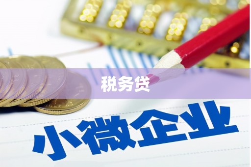 聂荣税务贷