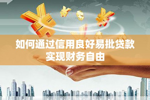 聂荣如何通过信用良好易批贷款实现财务自由